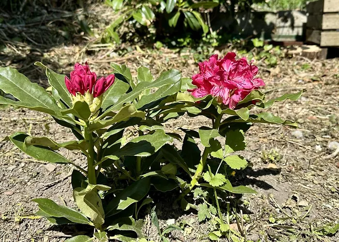 Piervenne Holiday home